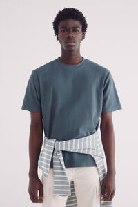 Springfield Playera textura azul