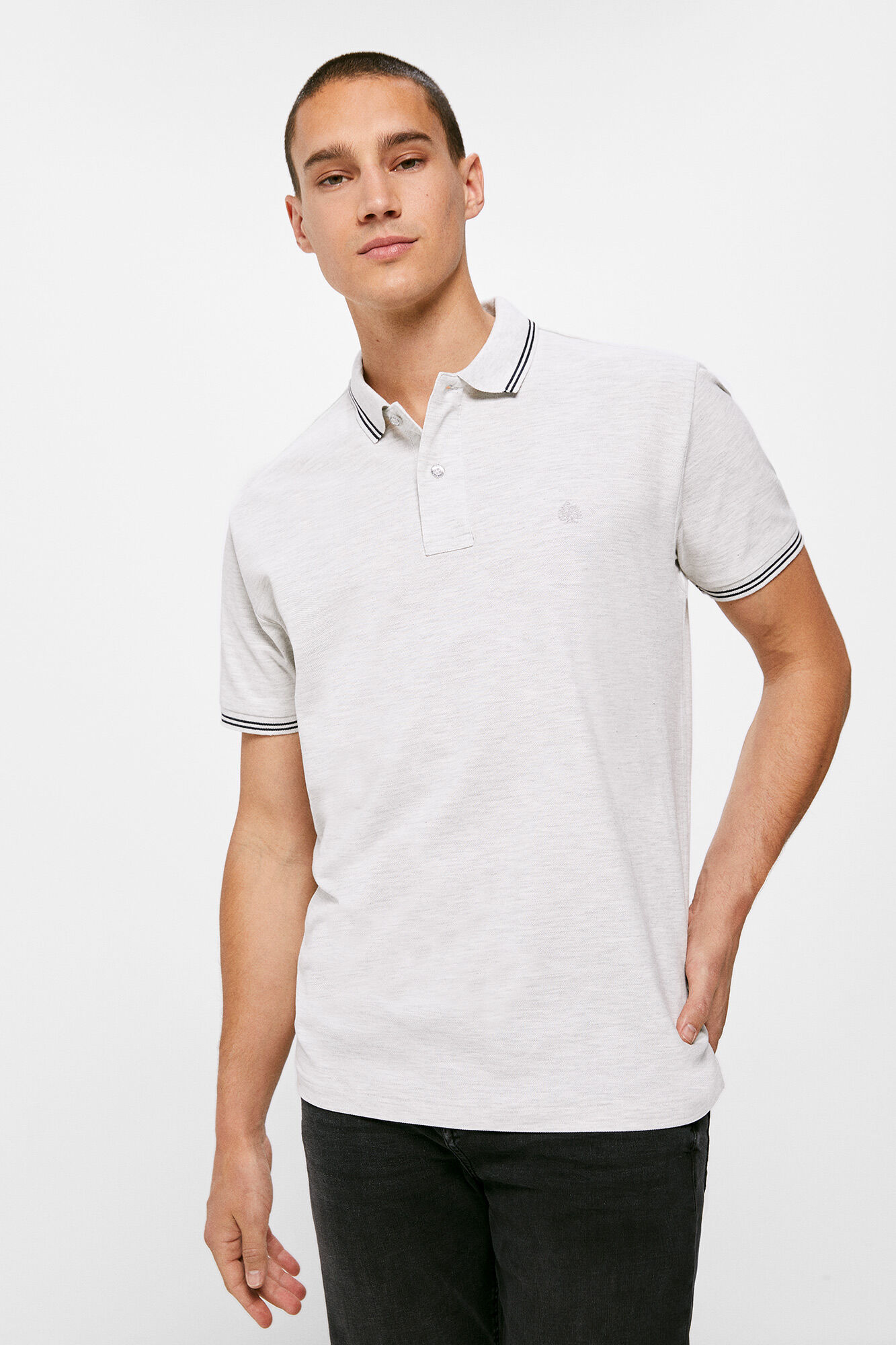 Polos de hombre springfield outlet