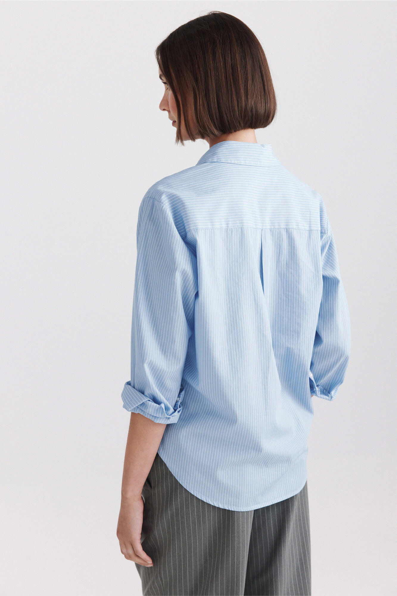 Springfield Camisa de algod&oacute;n azul