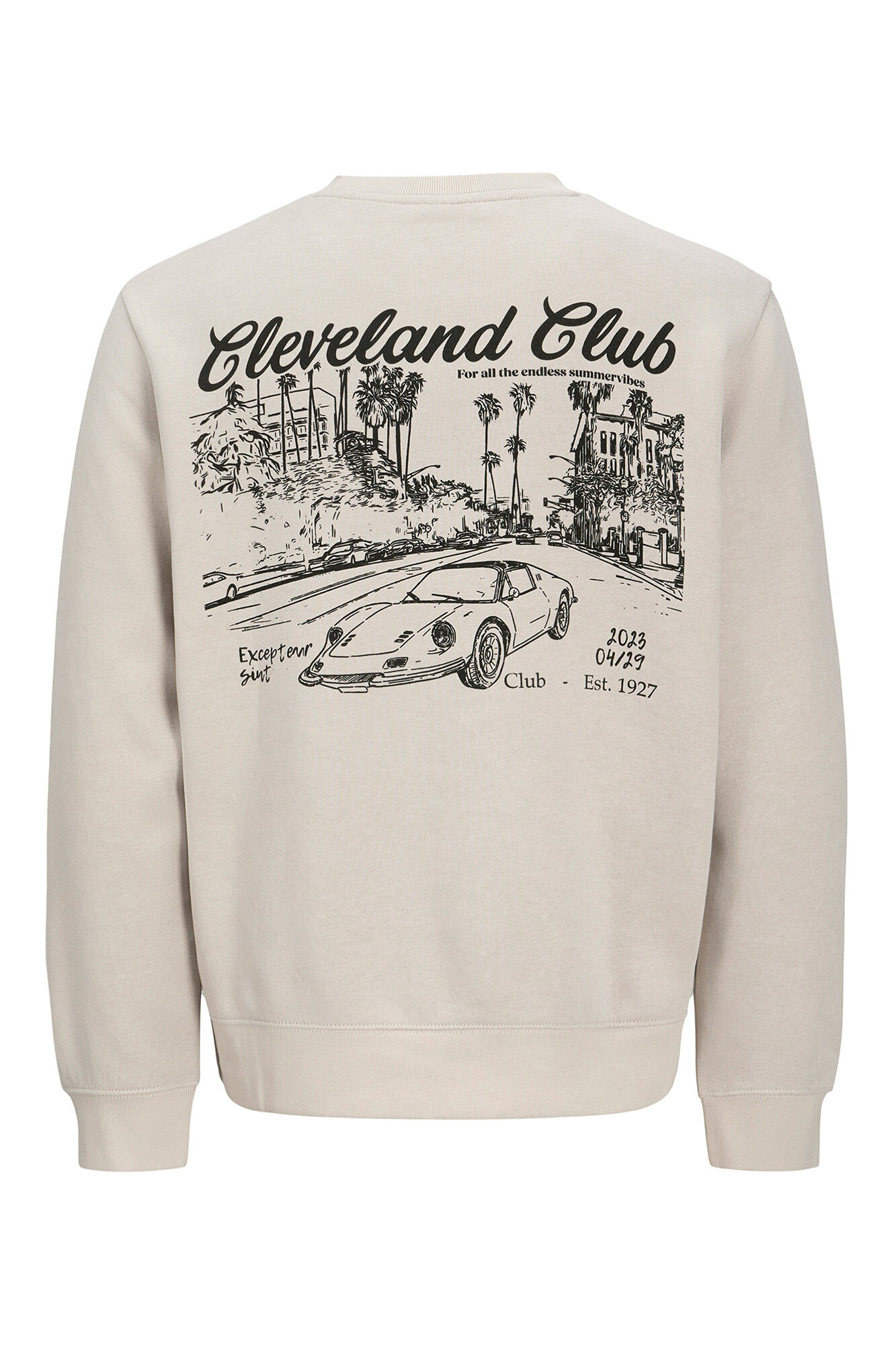 Jack & Jones Sudadera back print gris