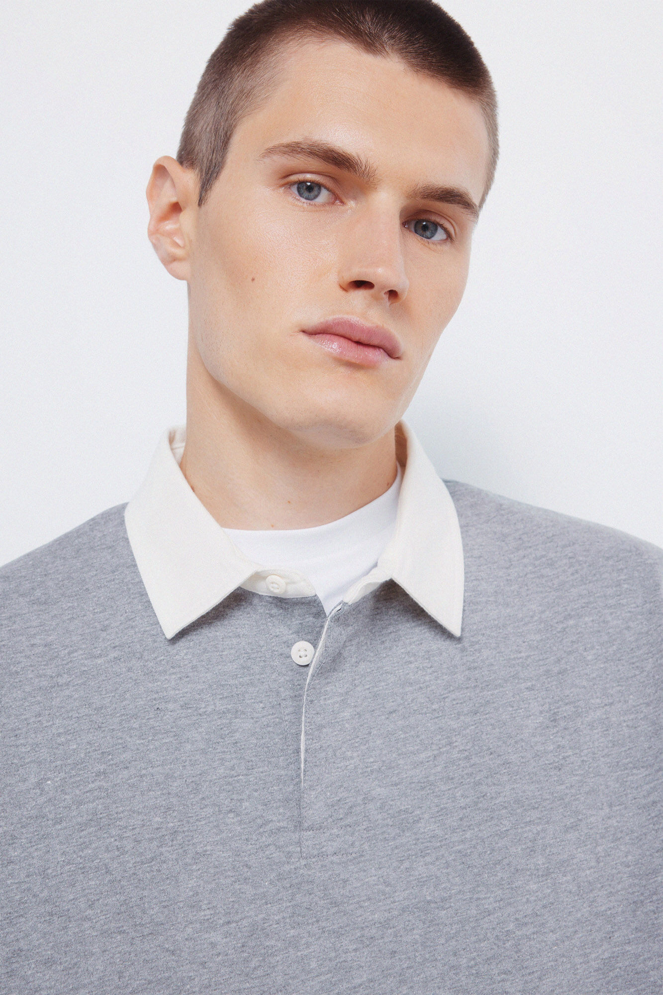 Springfield Rugby liso melange