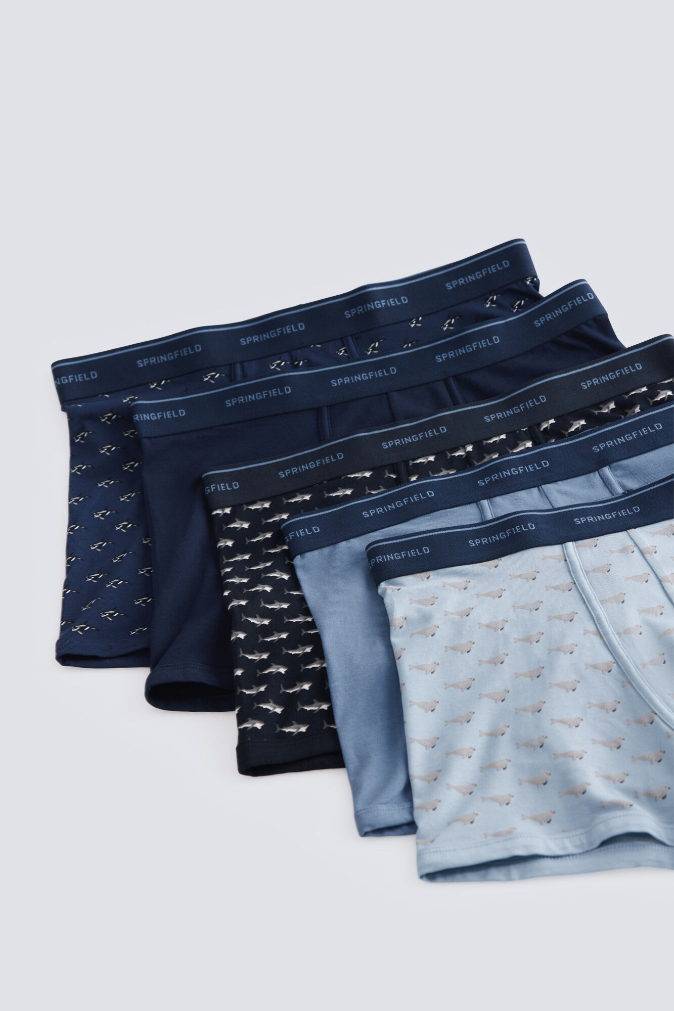 Springfield Pack 5 boxers de animales marinos azulado