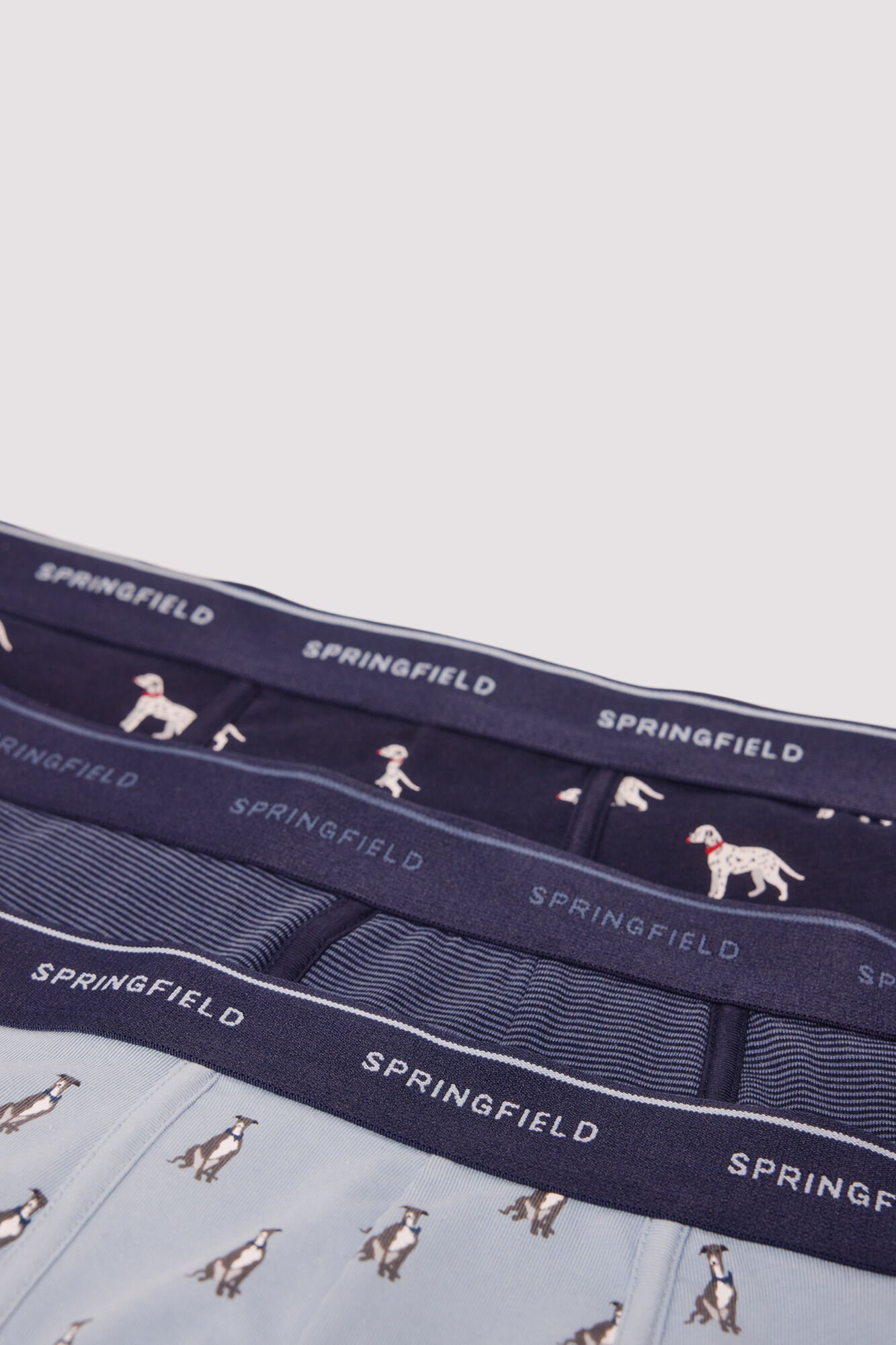Springfield Pack 3 b&oacute;xeres perros azul