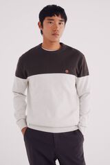 Springfield Jersey básico con bloques de color café