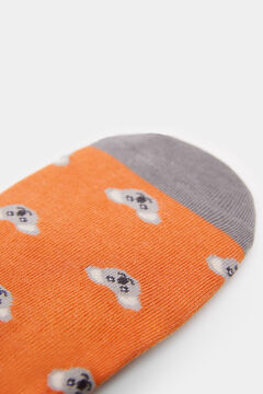 Springfield Calcetín invisible koala naranja