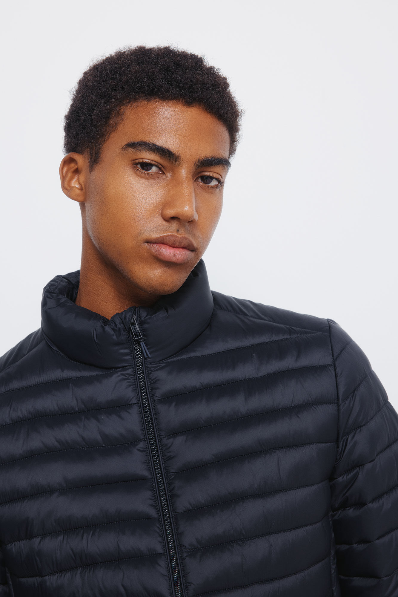 Springfield Plum&iacute;fero