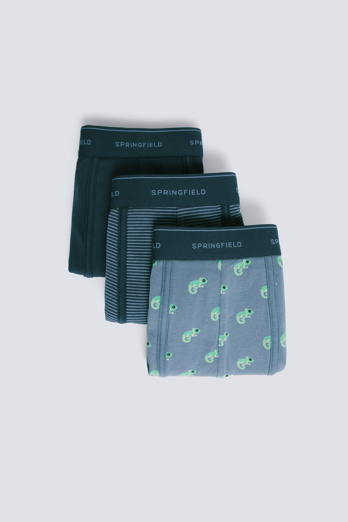 Springfield Pack 3 b&oacute;xeres camaleones y rayas