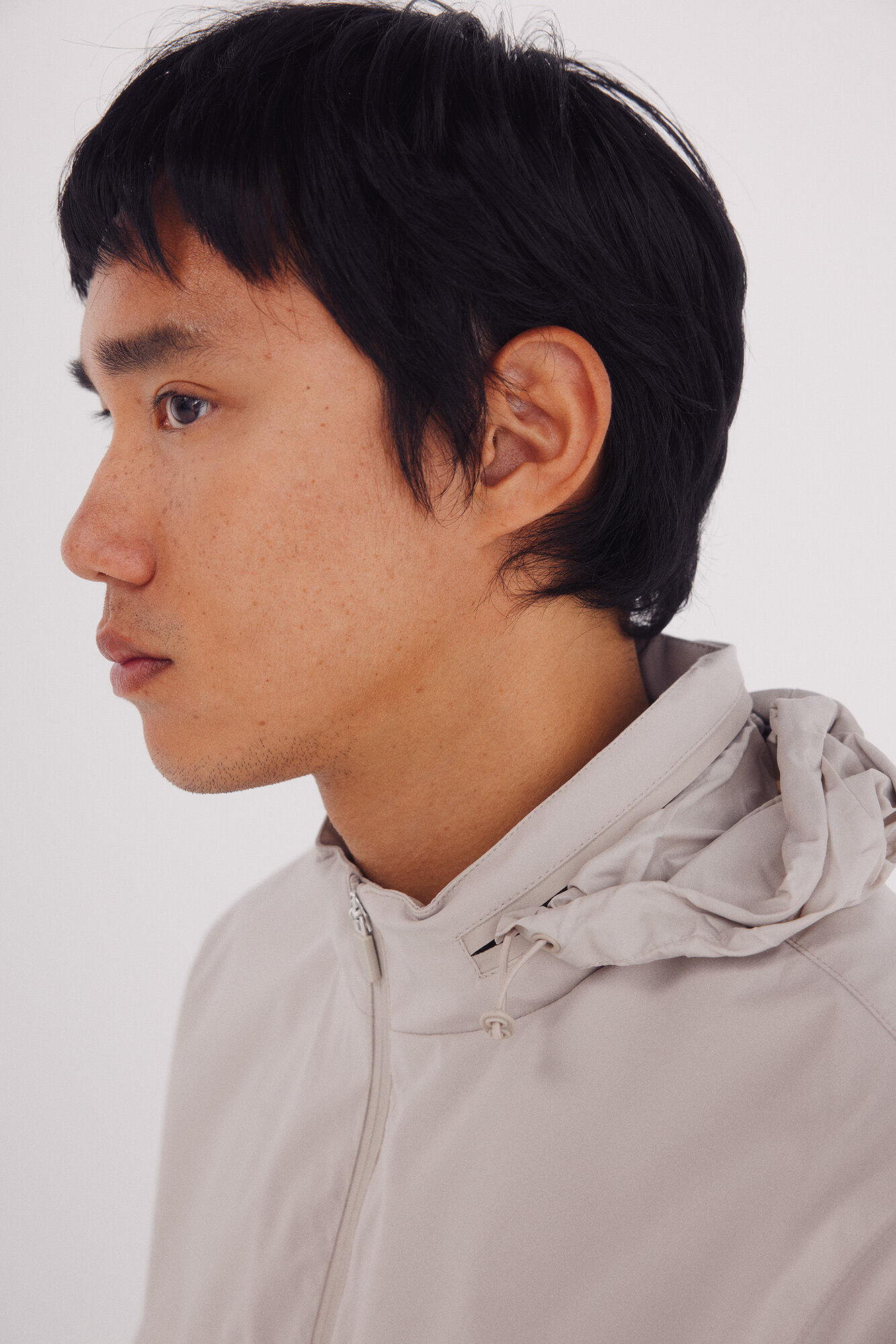 Springfield Chamarra deportiva caf&eacute;