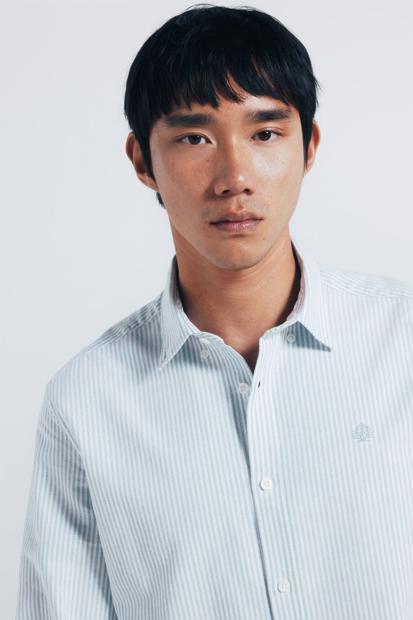 Springfield Camisa Oxford a rayas