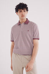 Springfield Polo piqué básico rayas regular fit púrpura