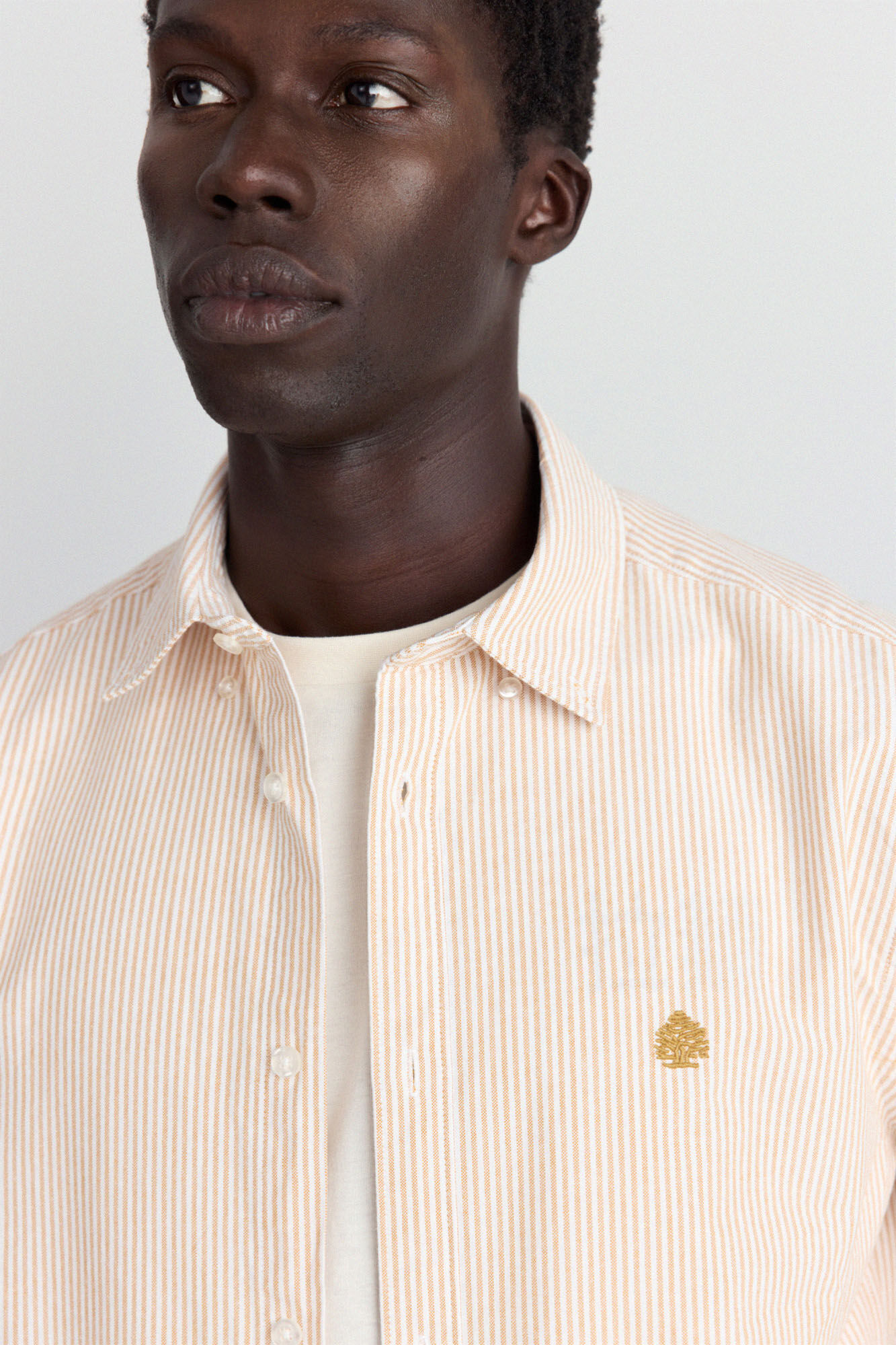 Springfield Camisa oxford de rayas estampado