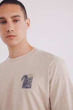 Springfield Playera dragon café