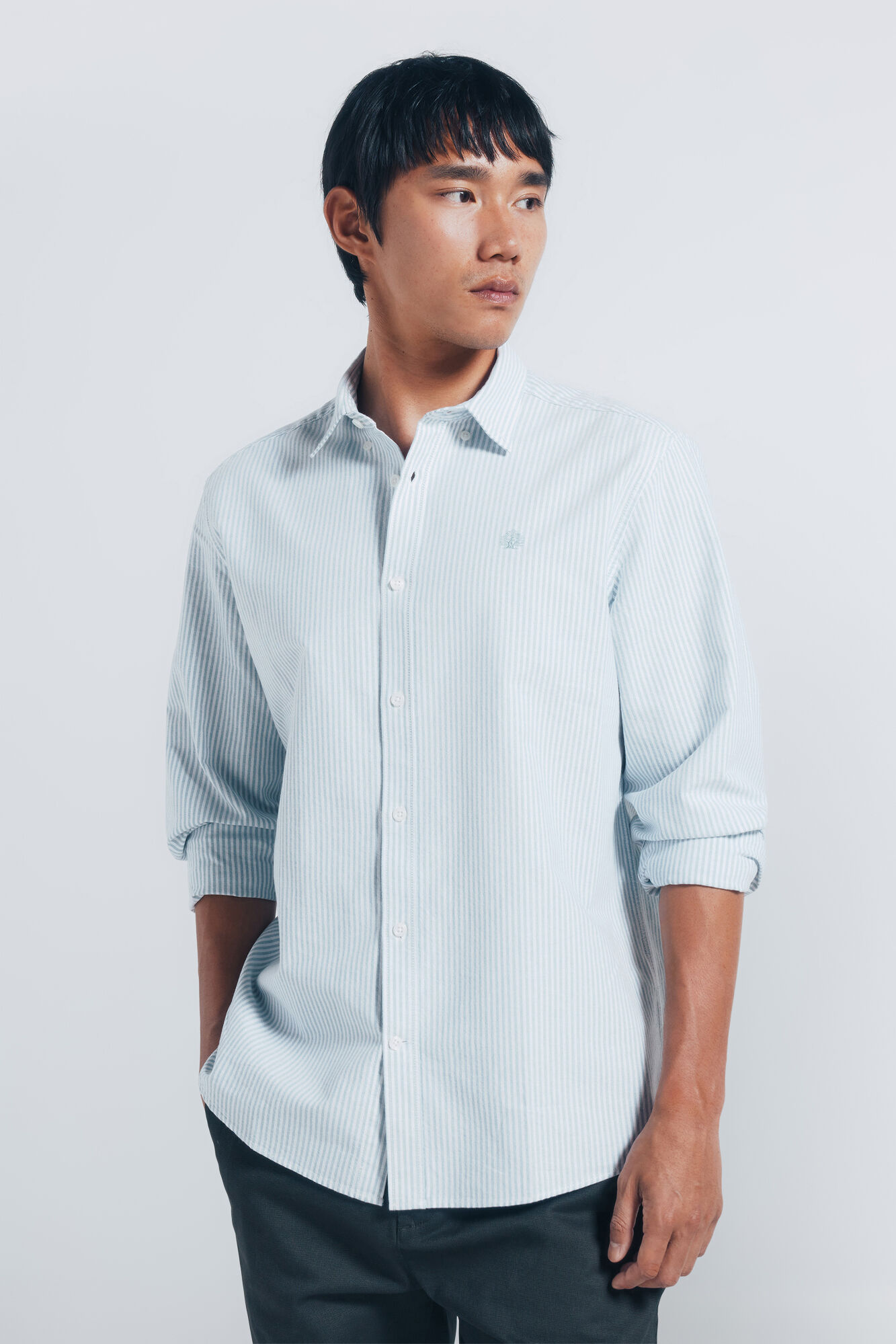 Springfield Camisa Oxford a rayas