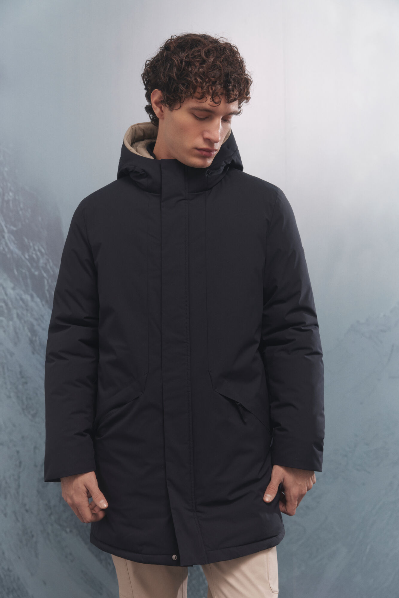 Springfield Plum&iacute;fero