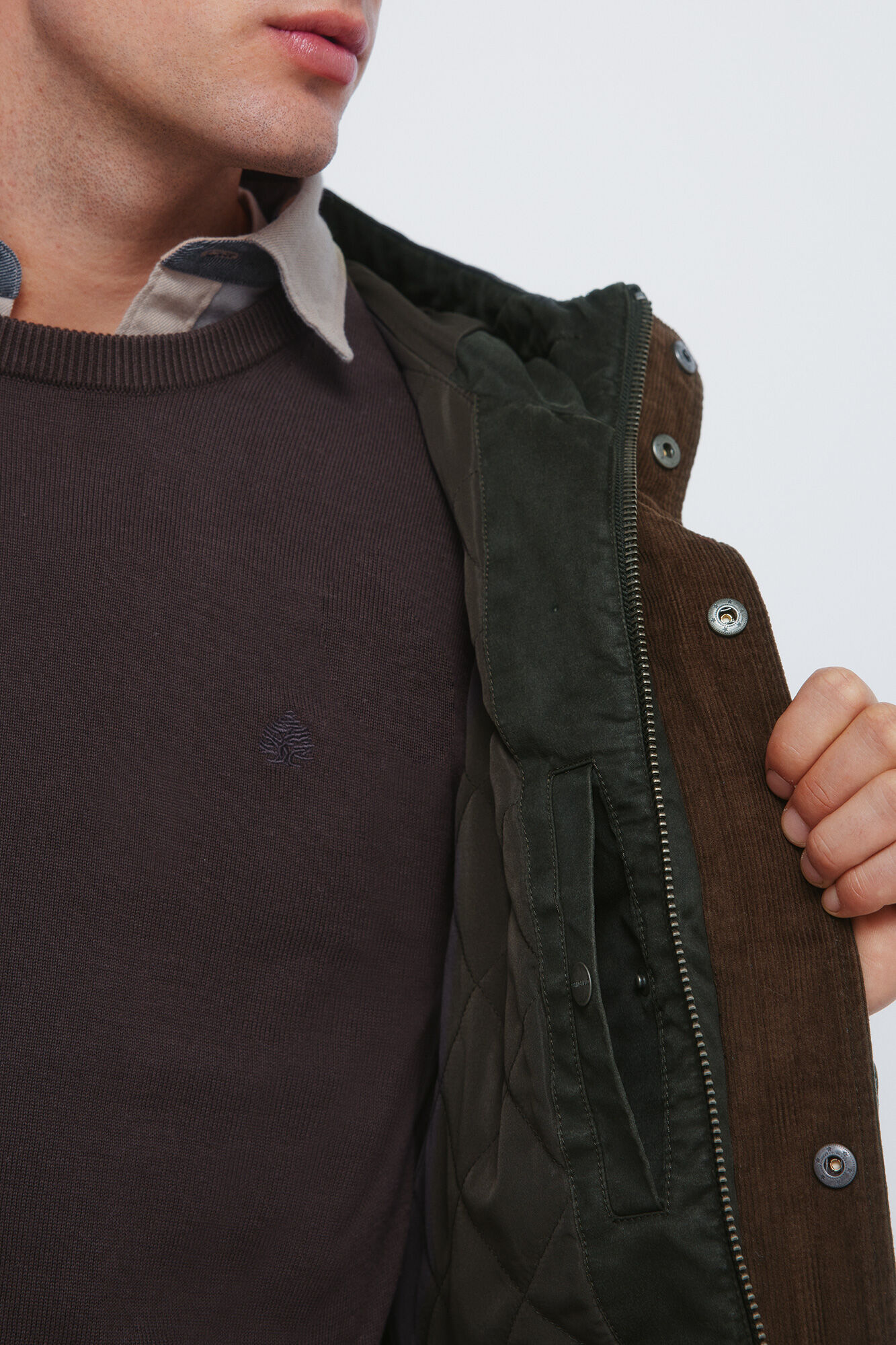 Springfield Parka de algod&oacute;n kaki