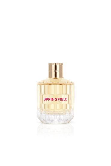 Complementos de mujer | Nueva Colección | Springfield México