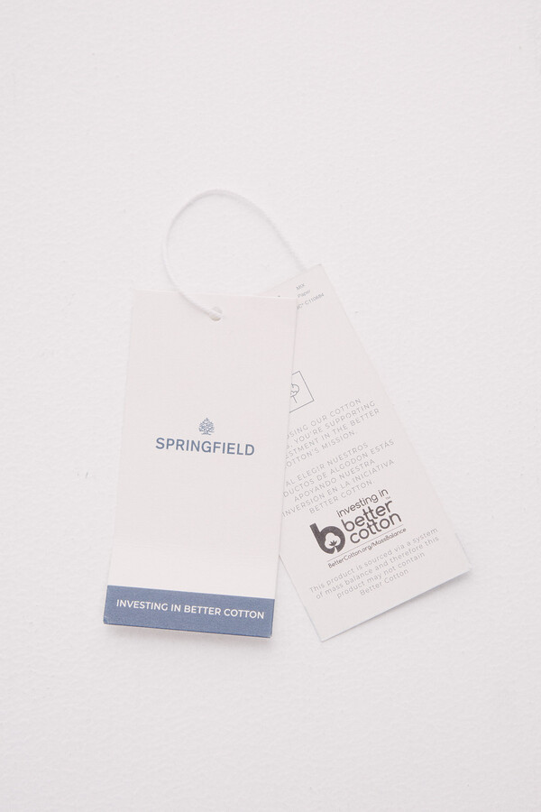 Springfield Playera gráfica  gris