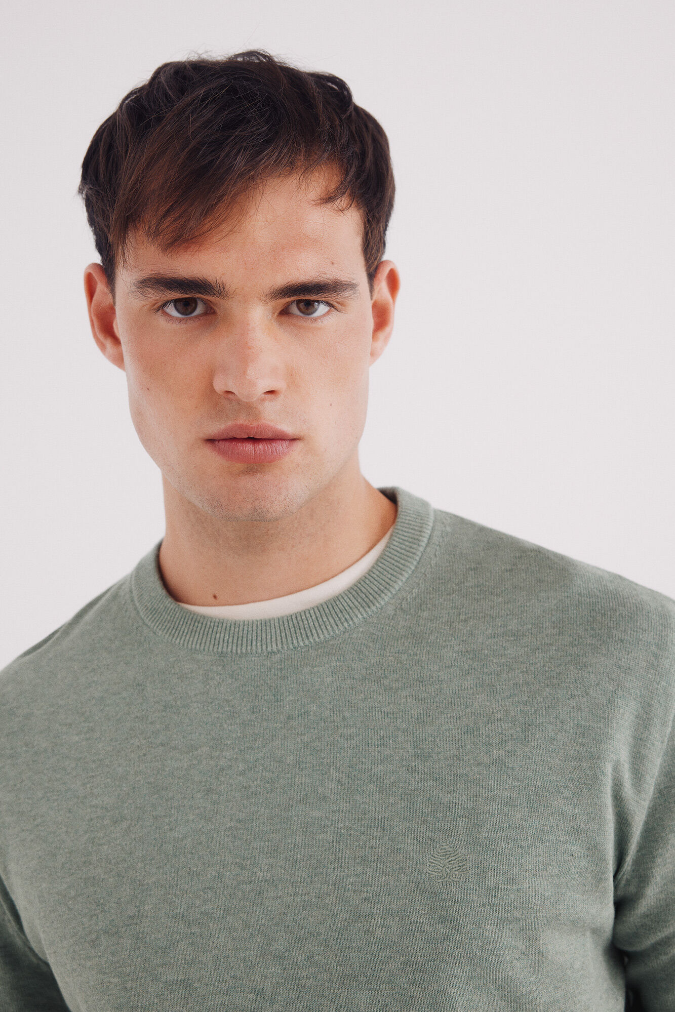 Springfield Jersey b&aacute;sico verde