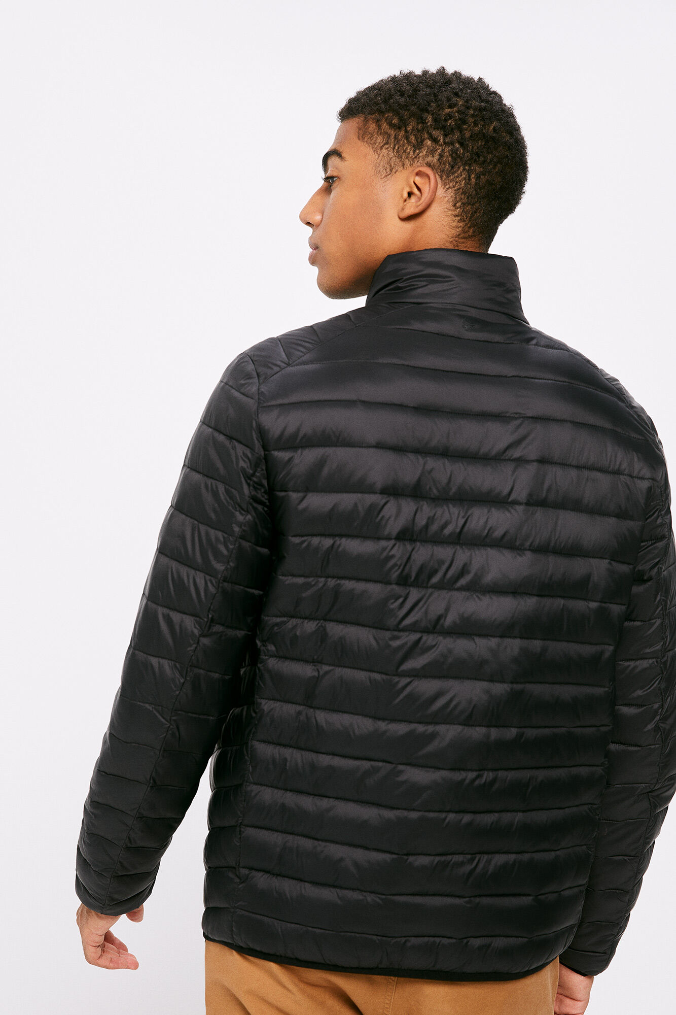 Springfield Chamarra acolchada negro