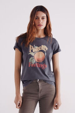 Springfield Playera gráfica frutas gris