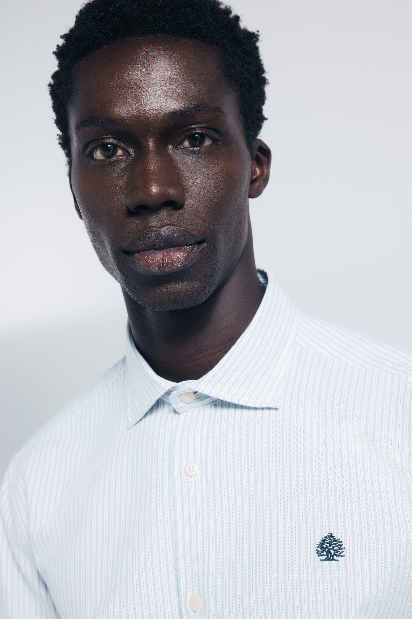 Springfield Camisa oxford ligero rayas azul