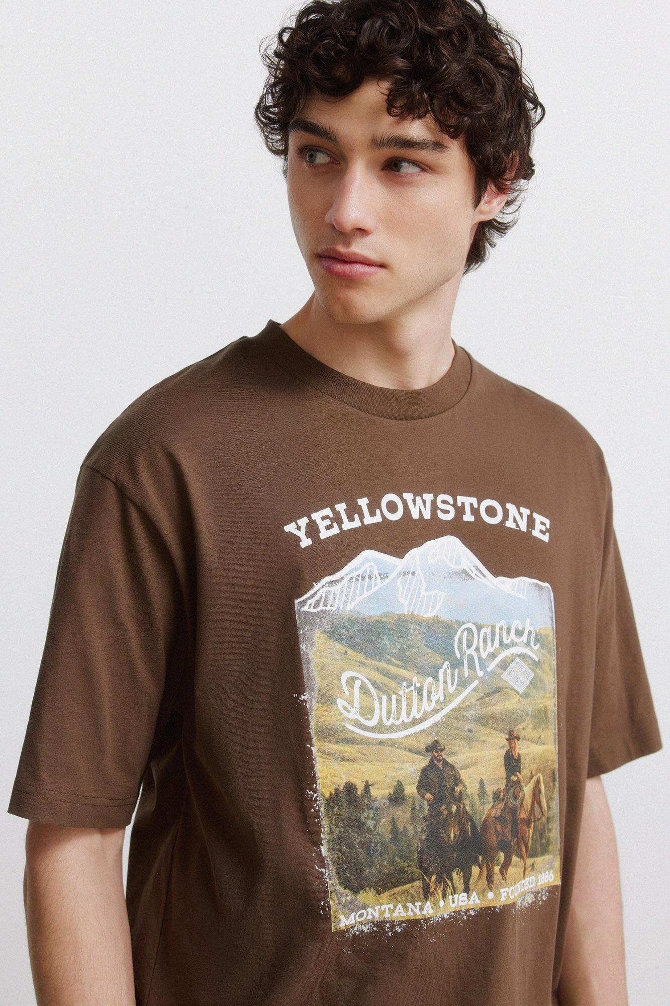 Springfield Playera Yellowstone
