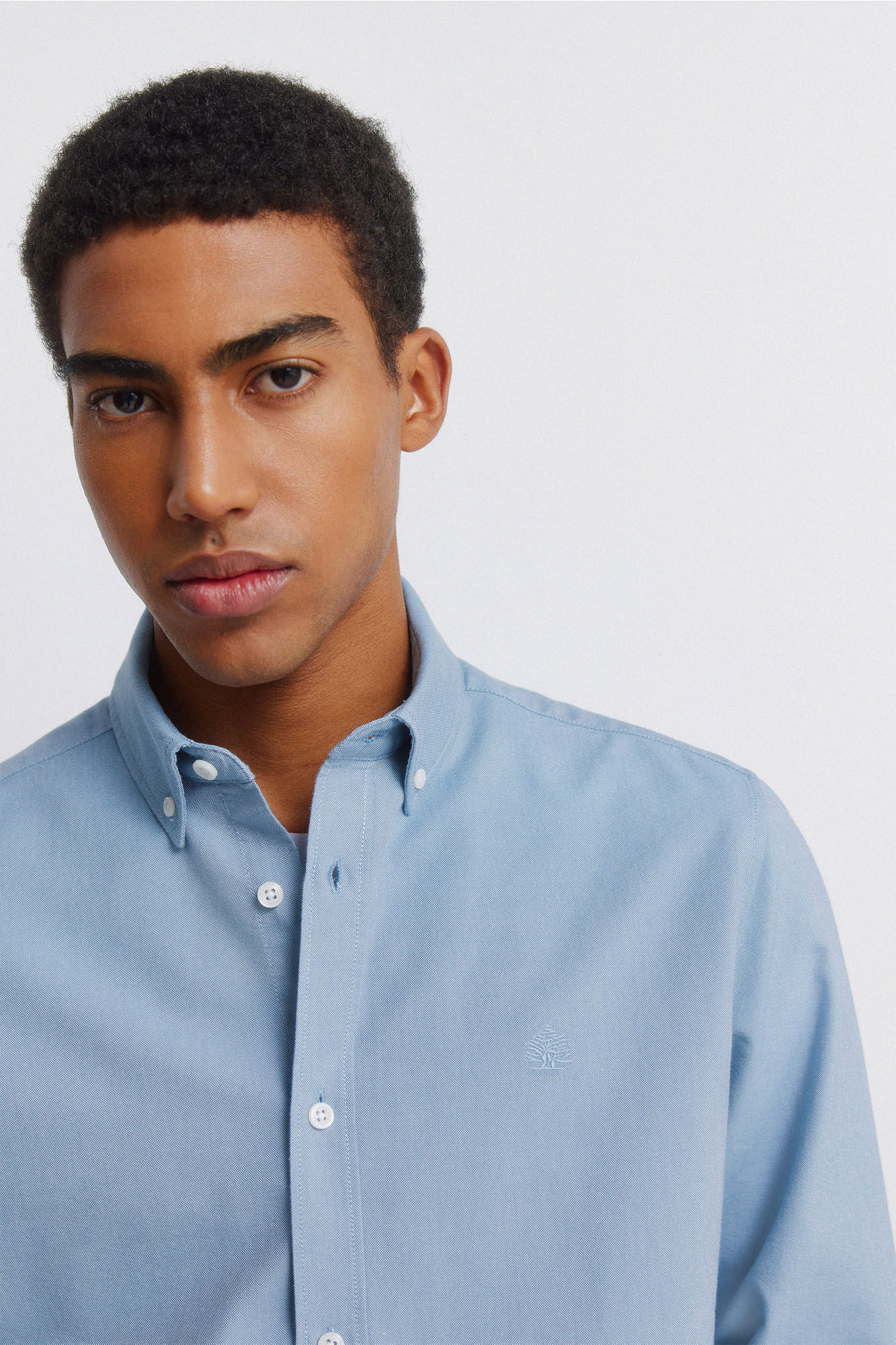 Springfield Camisa oxford sin arrugas