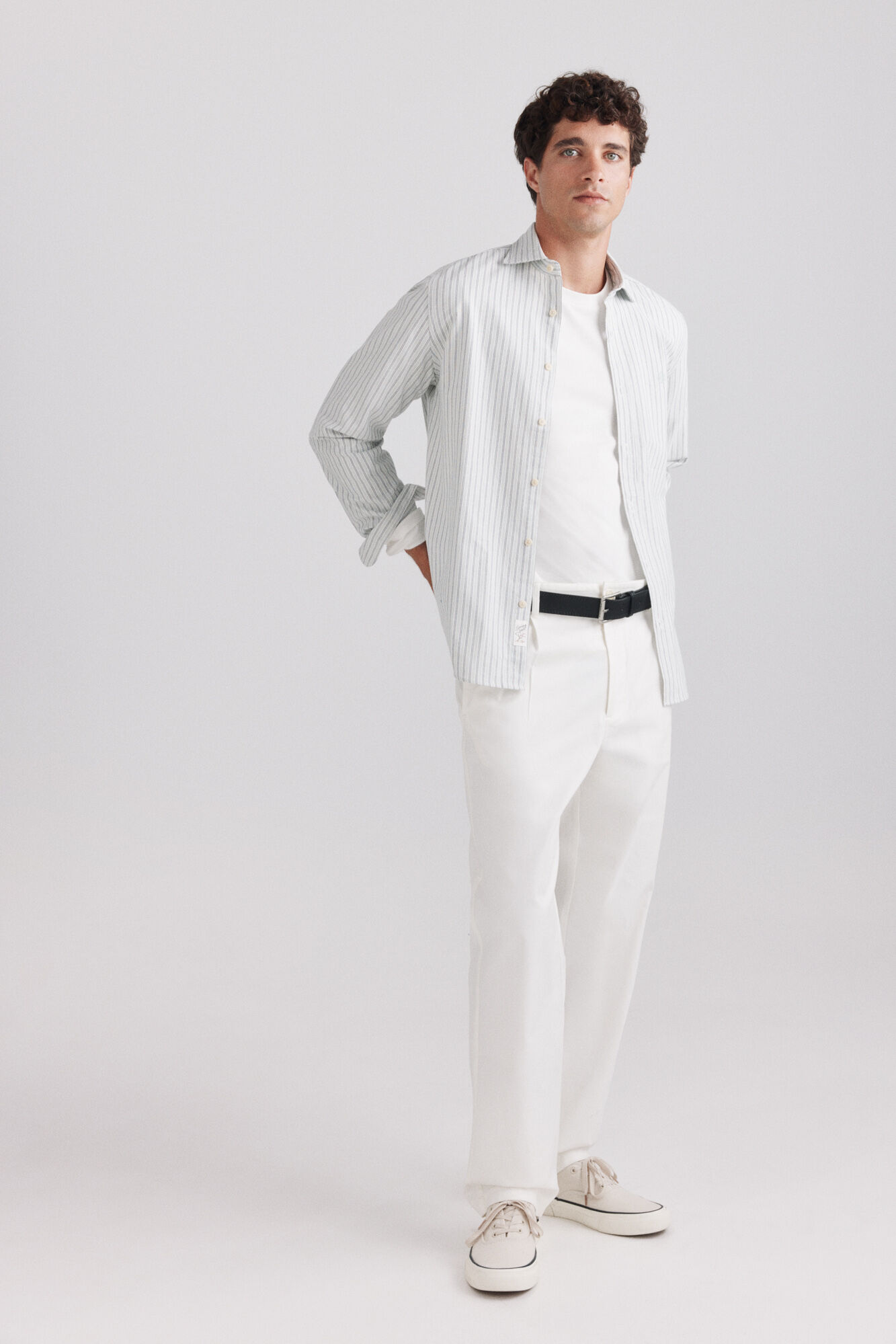 Springfield Camisa oxford de rayas verde