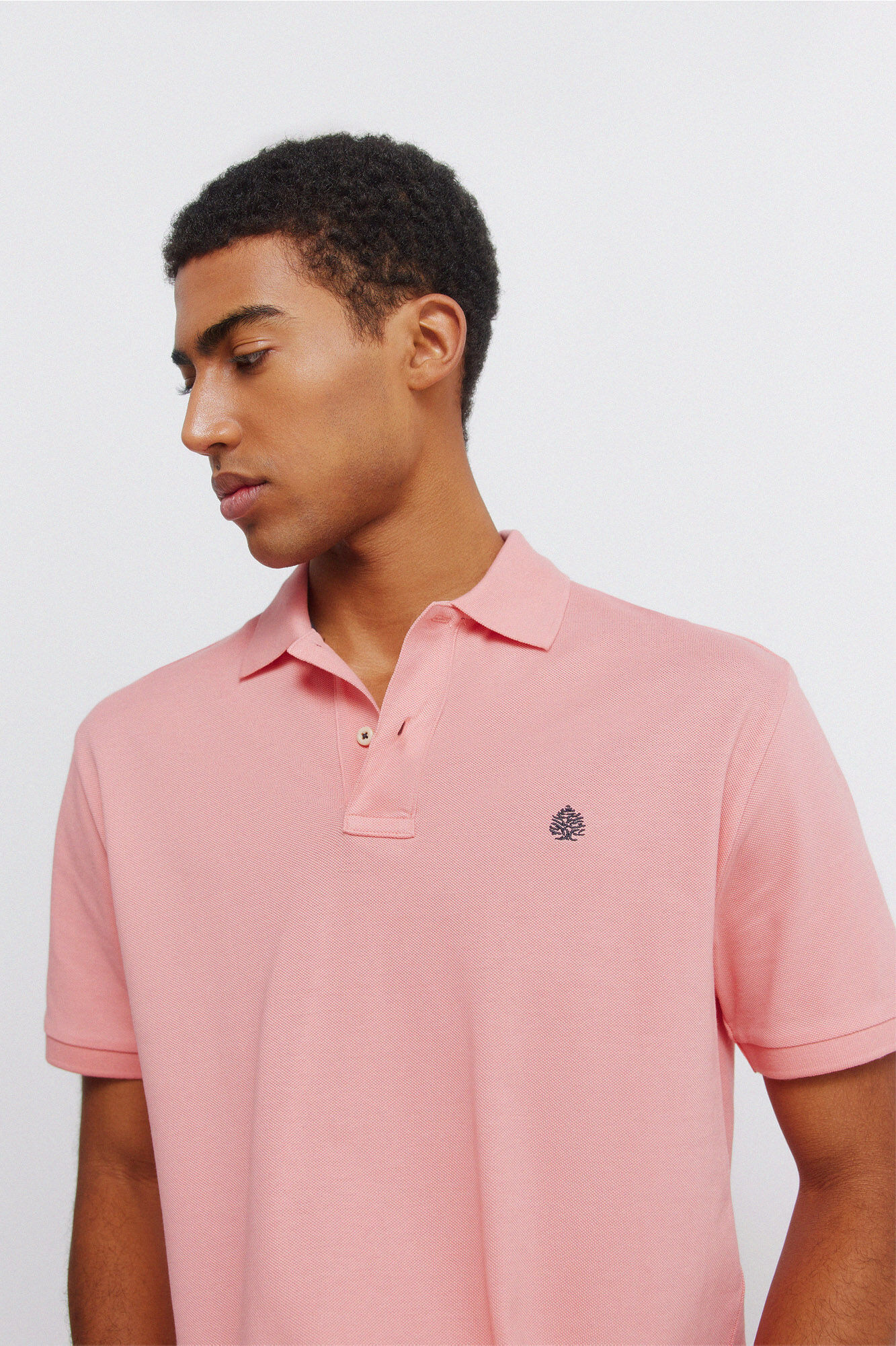 Springfield Polo b&aacute;sico regular fit estampado