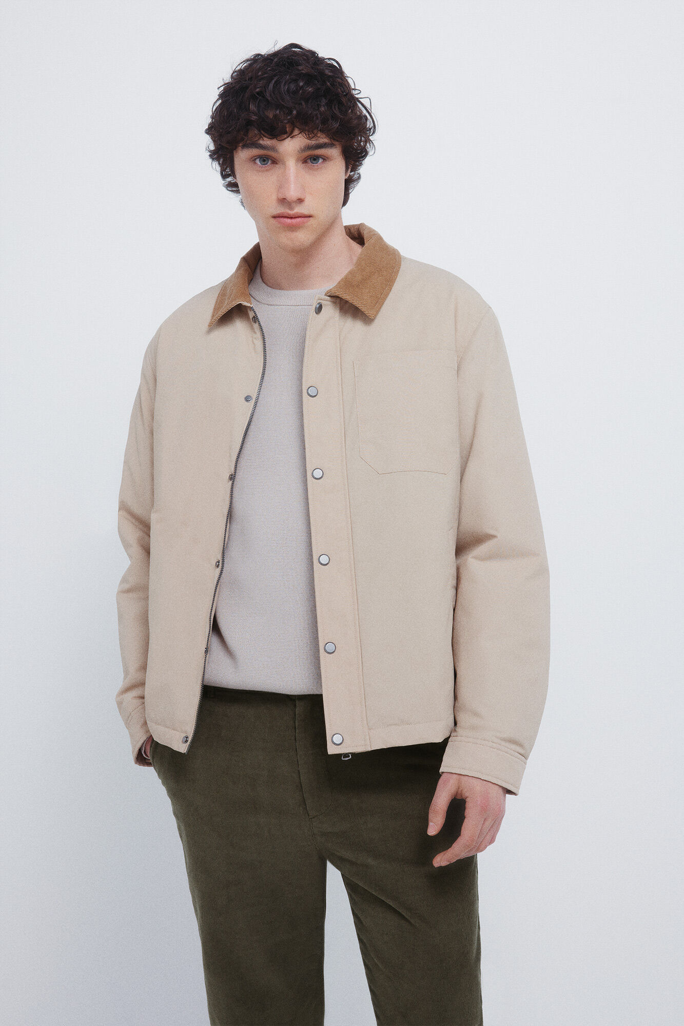 Springfield Pantalones chinos de pana micro de pana entallado kaki