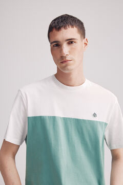 Springfield Playera color block verde