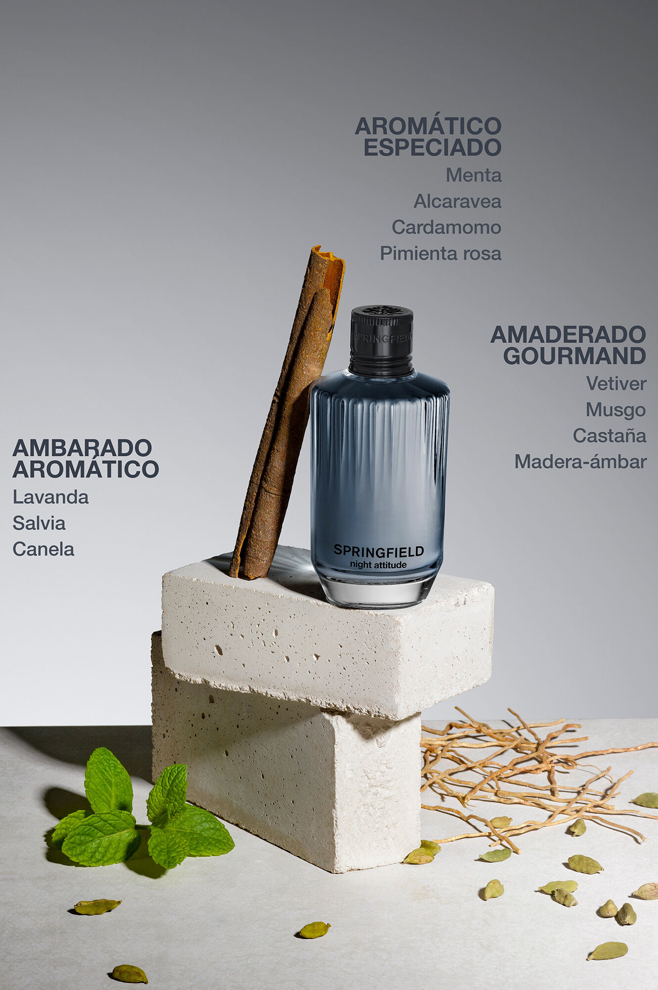 Springfield SPF NIGHT ATTITUDE 100 ML turquesa