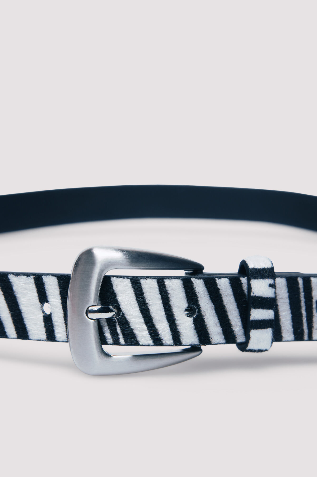 Springfield Cintur&oacute;n fino de cebra negro