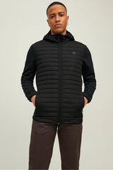 Springfield Chamarra acolchada combinada negro