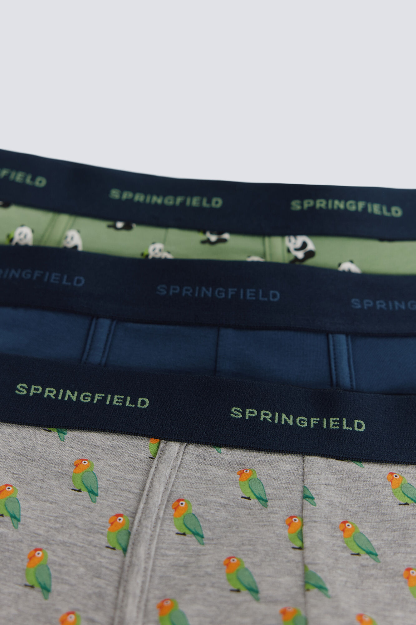 Springfield Paquete de 3 b&oacute;xers panda verde