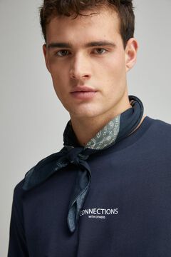 Springfield Playera sample collections azul