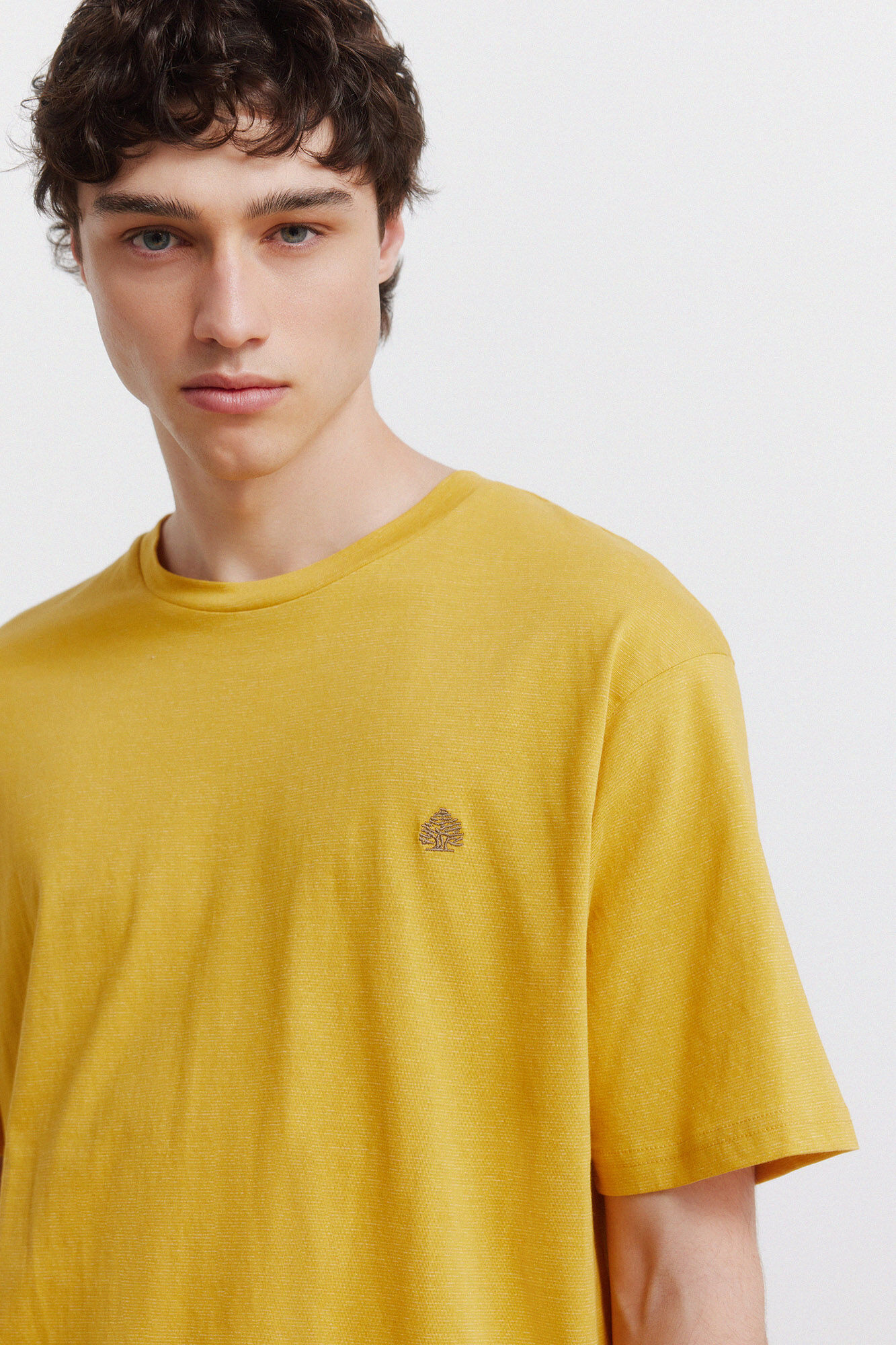 Springfield Playera inyectada oscura amarillo