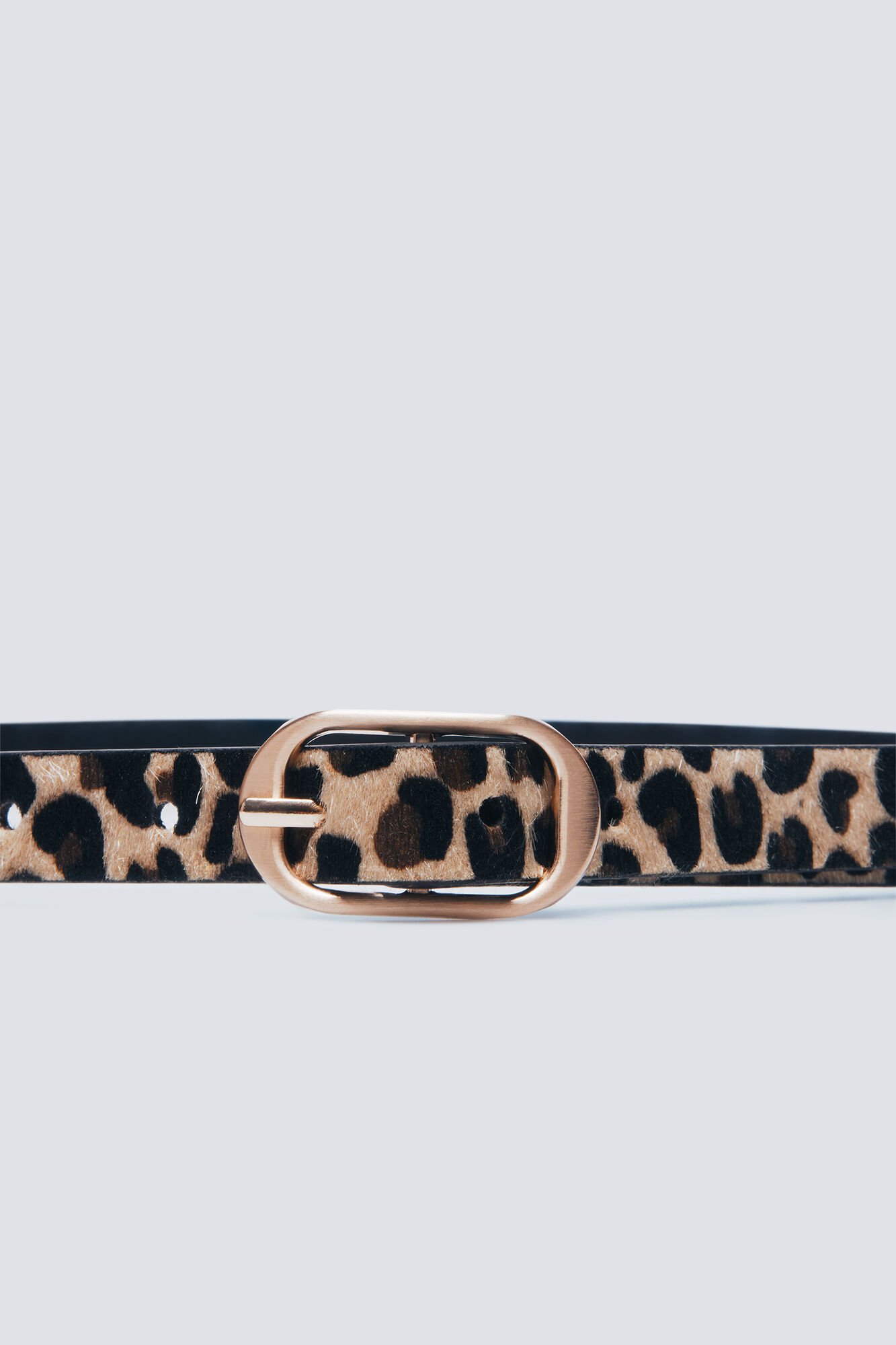 Springfield Cintur&oacute;n estampado animal hebilla ovalada estampado