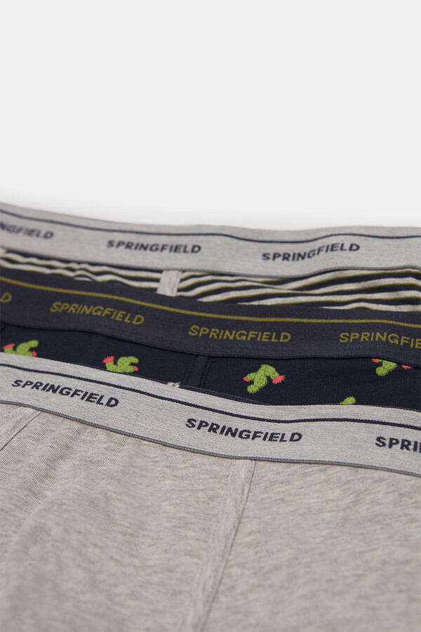 Springfield Pack 3 boxers cactus marino