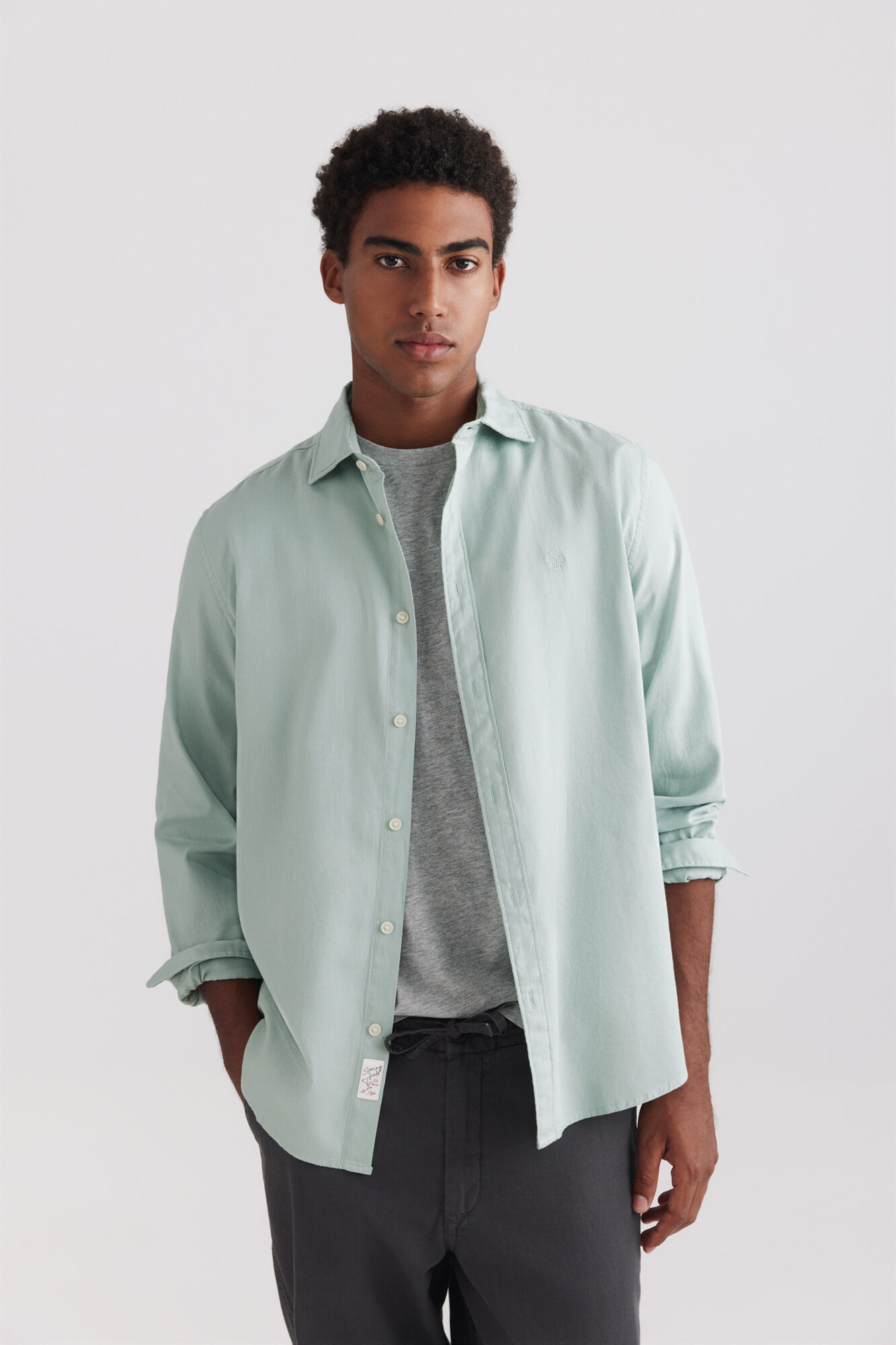 Springfield Camisa de estructura