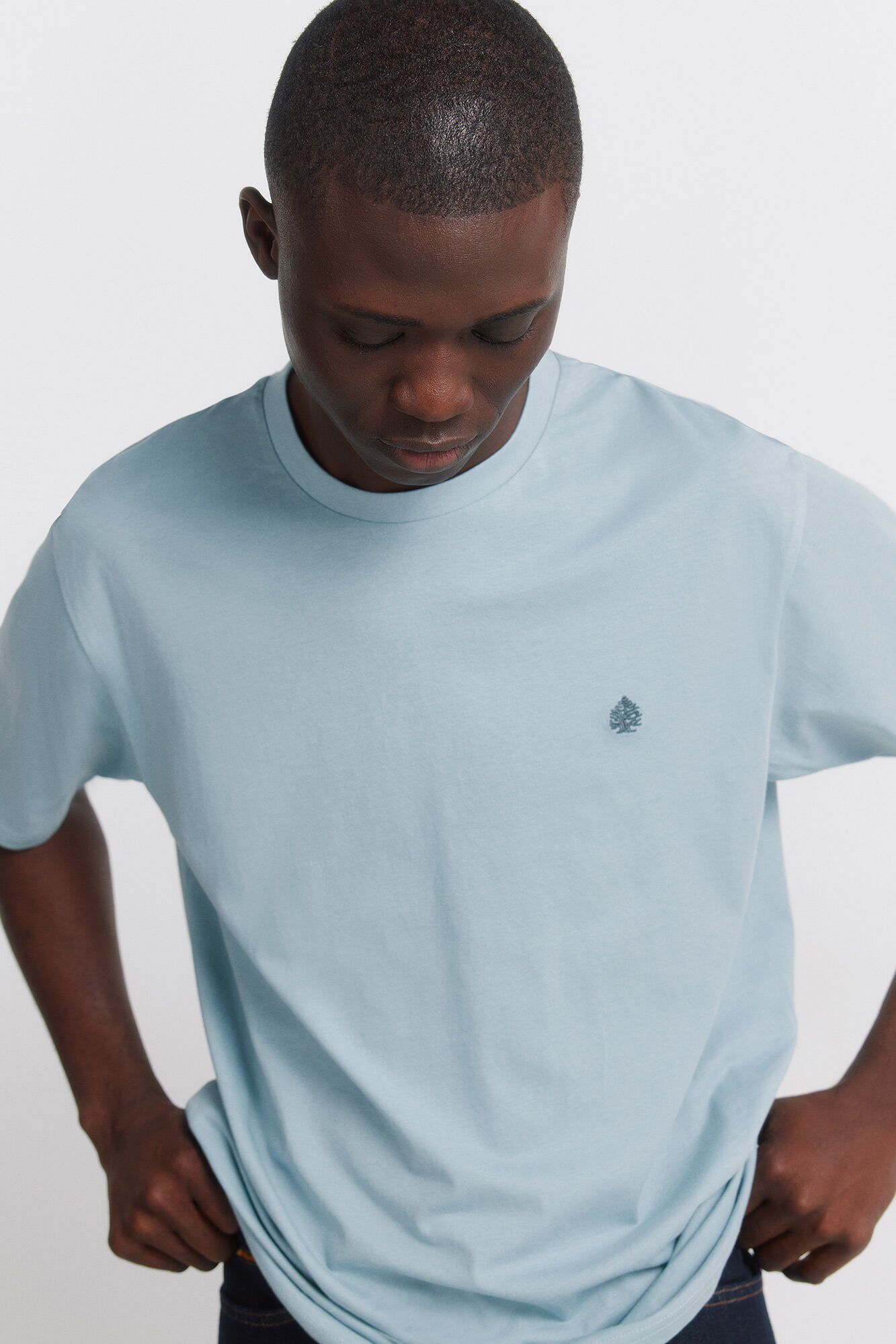 Springfield Camiseta b&aacute;sica logo springfield