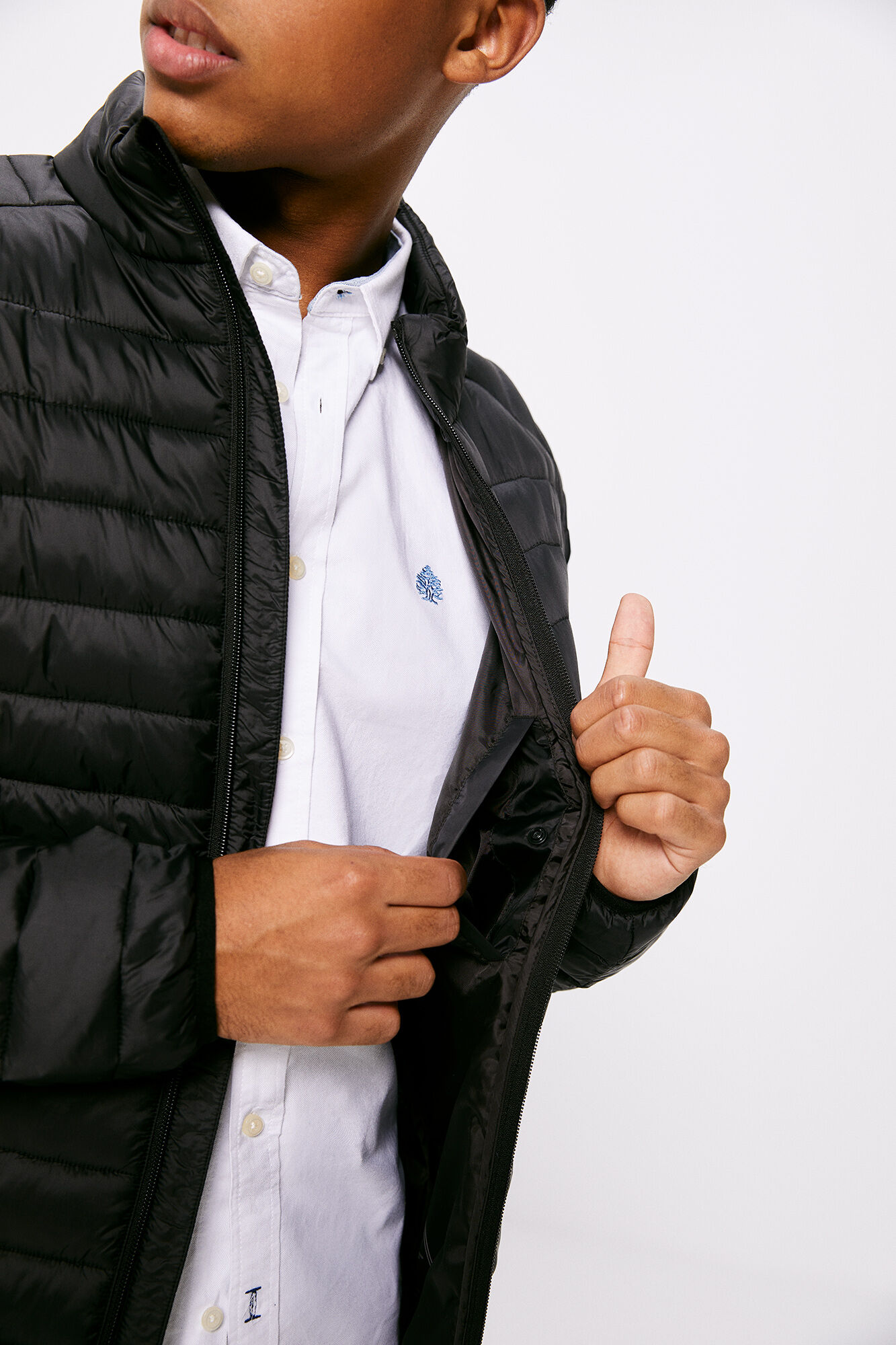 Springfield Chamarra acolchada negro