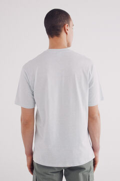 Springfield Playera microraya verde