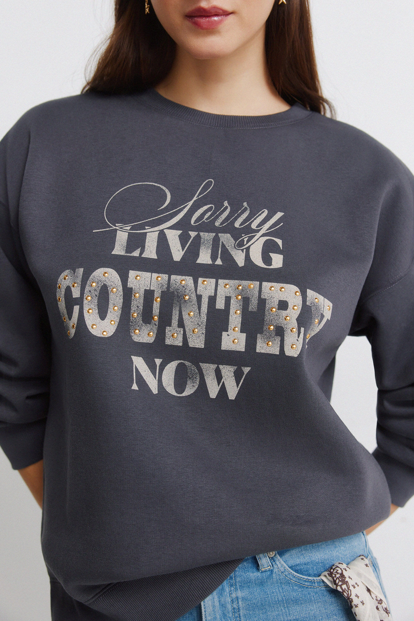 Springfield Sudadera "Country" gris