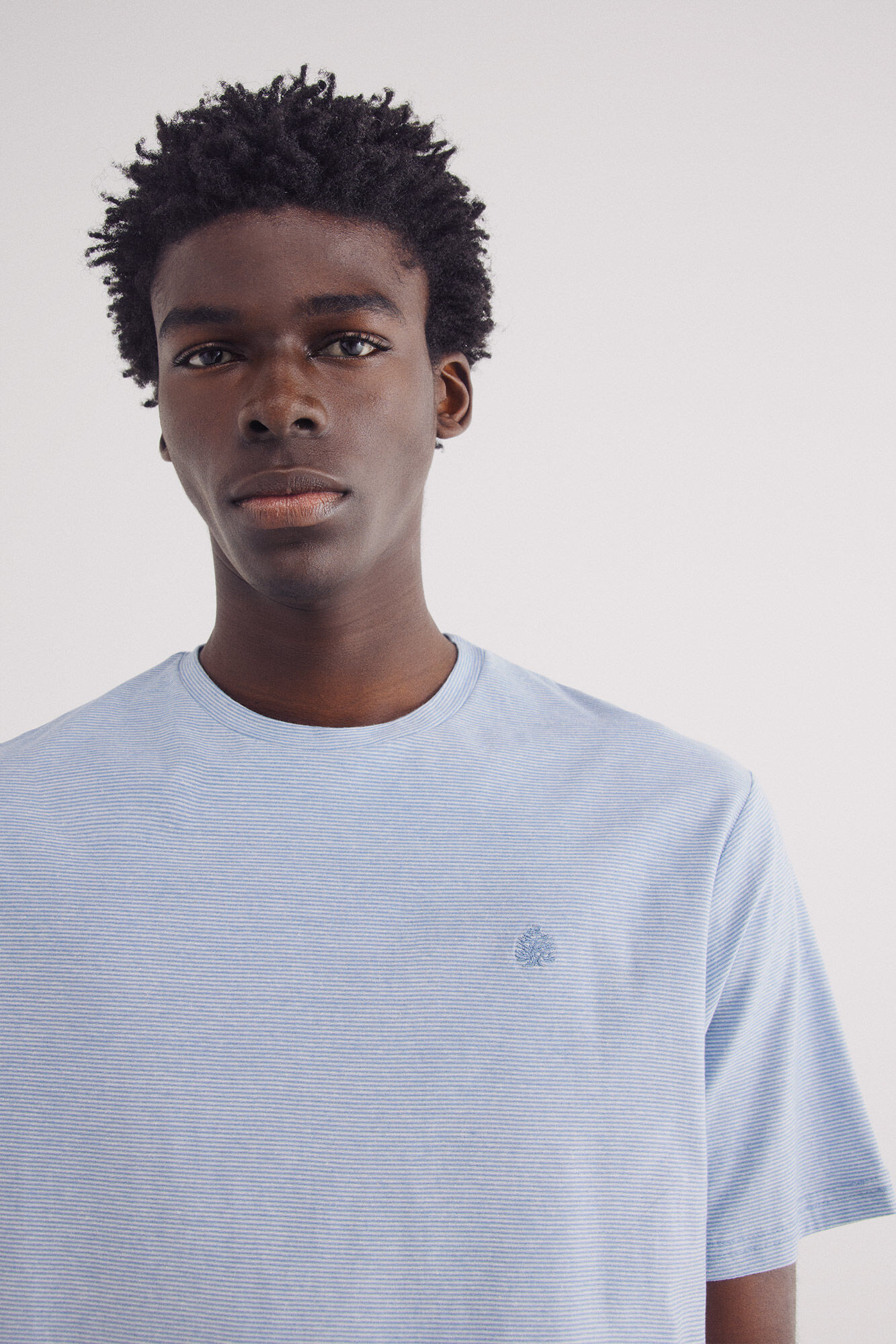 Springfield Playera microraya