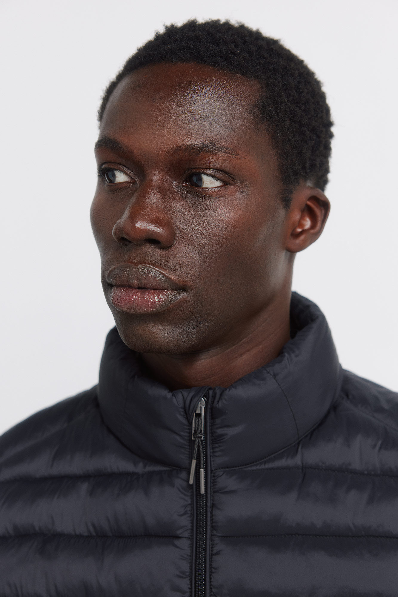 Springfield Chaleco acolchado