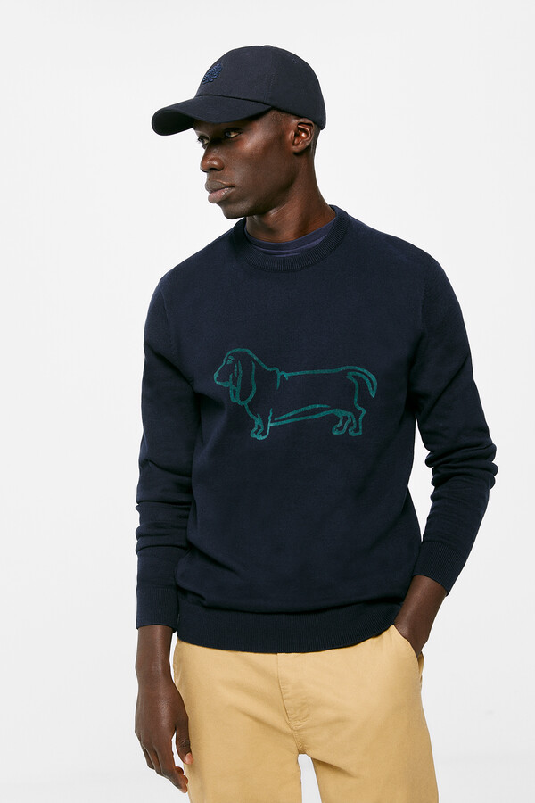 Springfield Suéter perro naranja