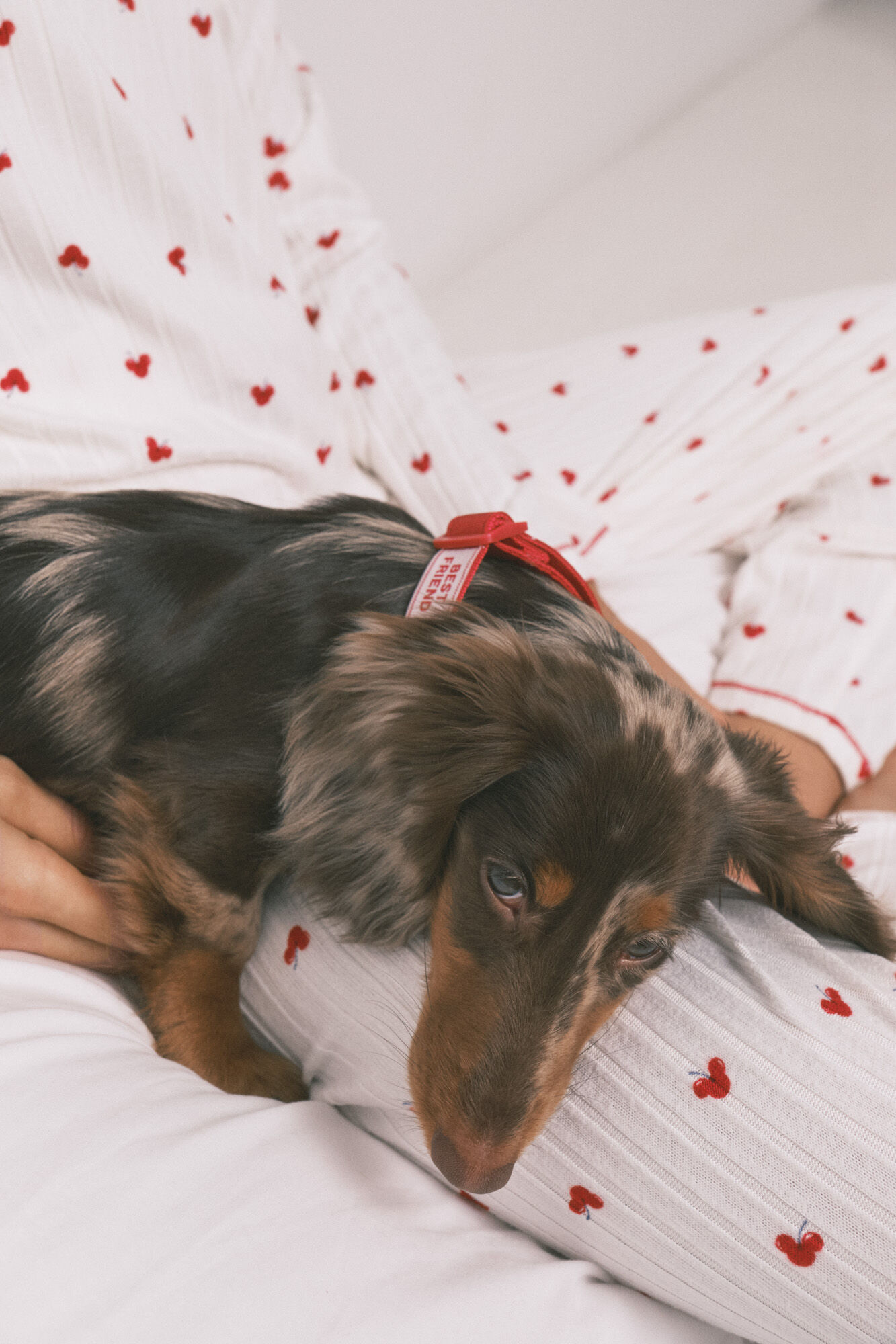 Women'secret Collar para perro con colgante de cerezas rojo rojo