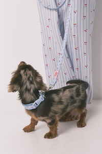 Women'secret Collar para perro con colgante de cerezas azul