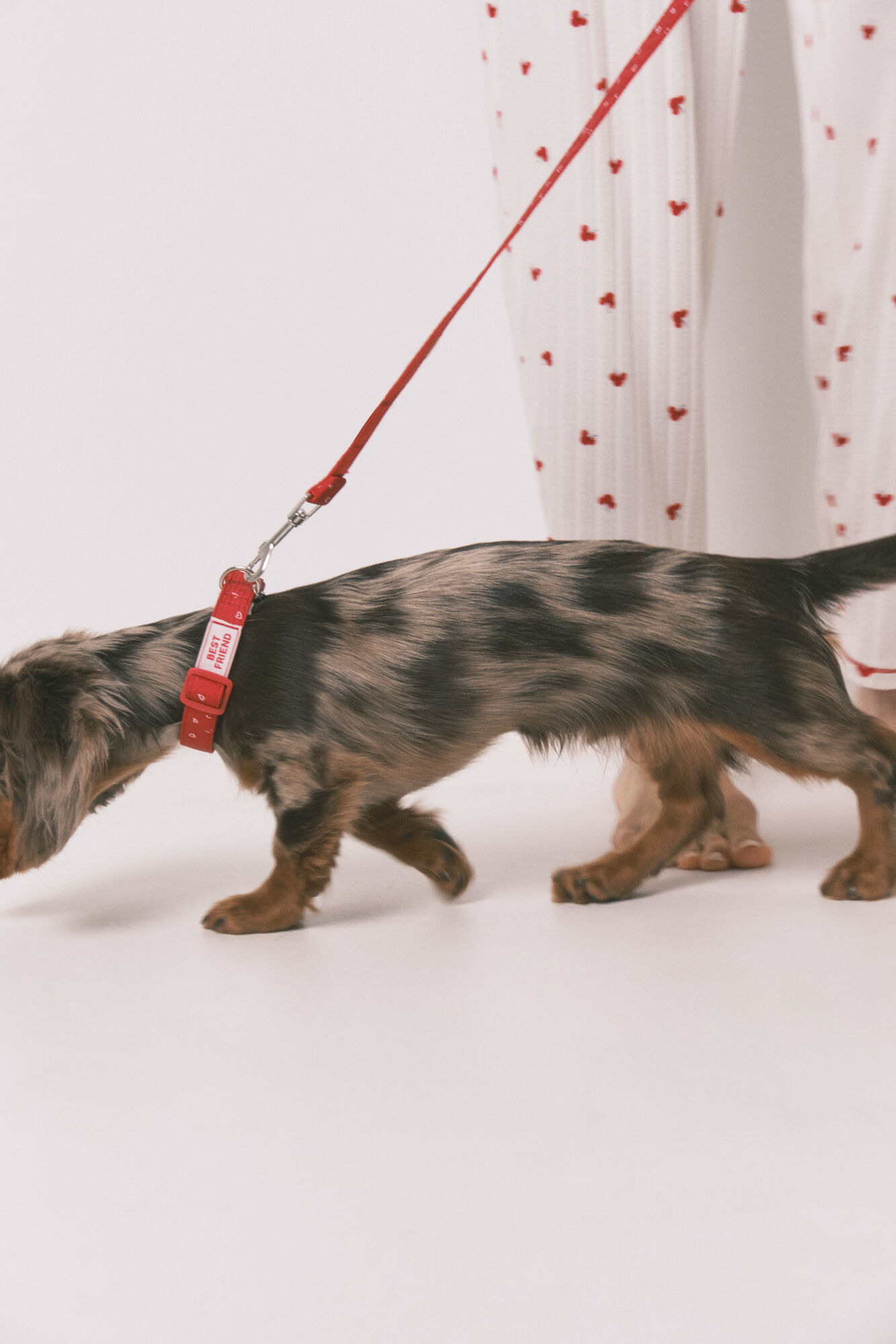 Women'secret Correa para perro con corazones roja